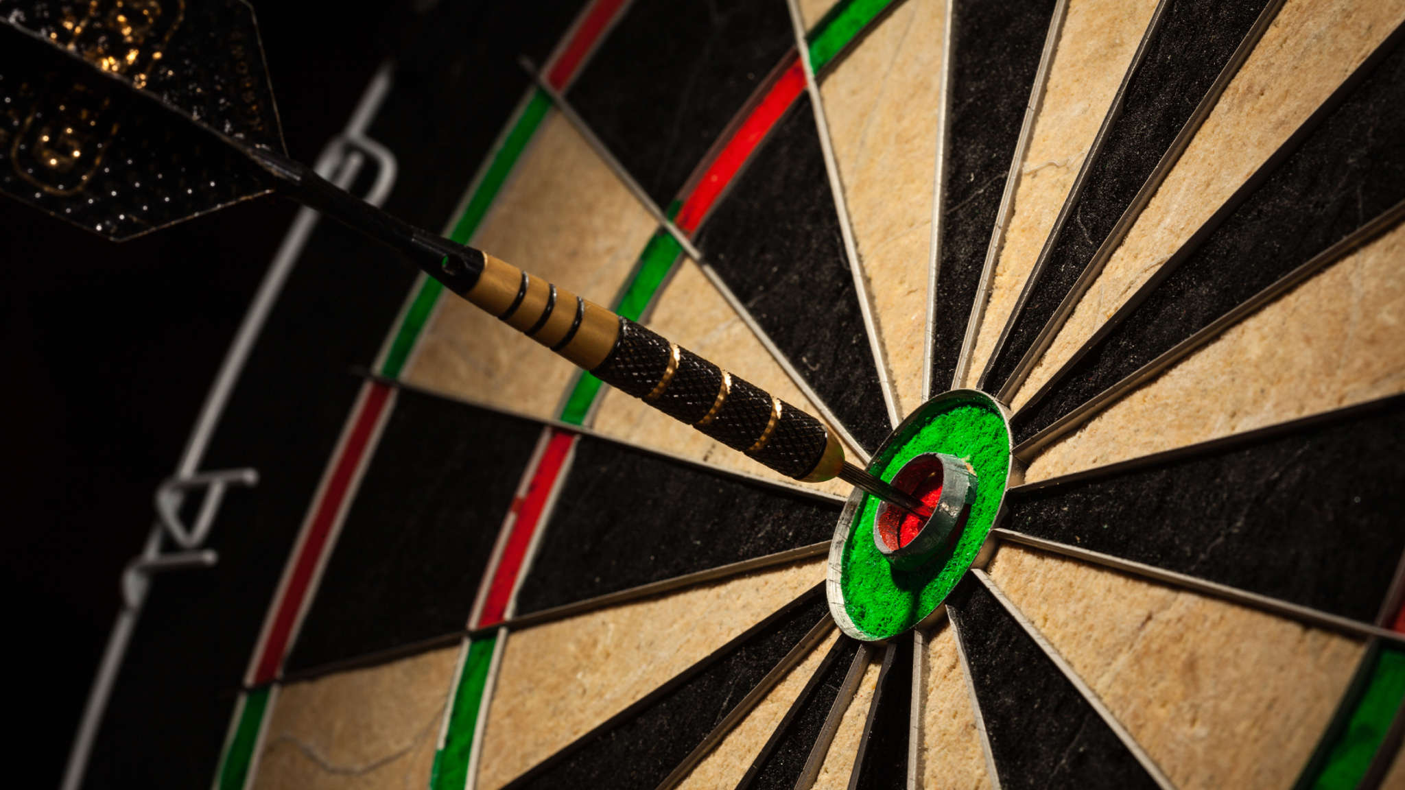 LÖWEN DART